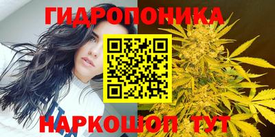 соль ск Новодвинск
